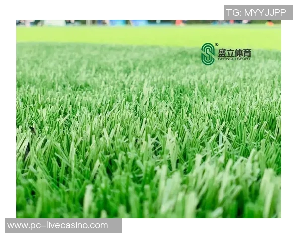 推动绿色足球发展助力可持续体育未来的探索与实践 推动绿色足球发展助力可持续体育未来的探索与实践